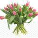 tulpen-online-bestellen-bezorgen