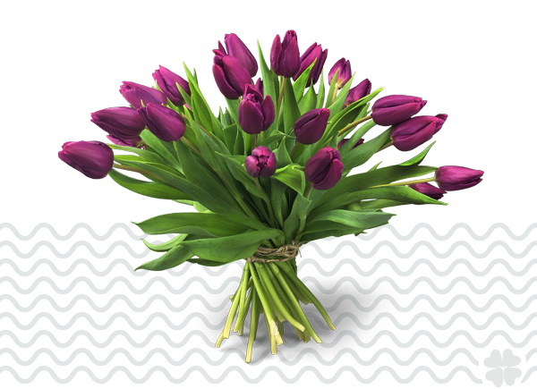 tulpen-online-bestellen-makkelijk