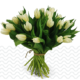 witte-tulpen-online-bestellen
