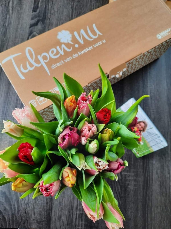 tulpen-online-kopen-bestellen-bezorgen